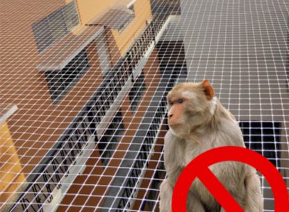 Monkey Safety Nets